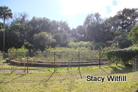 Stacy Witfill