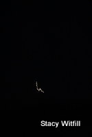 Stacy Witfill